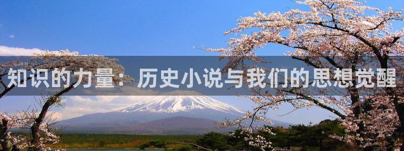八一小说网全本小说