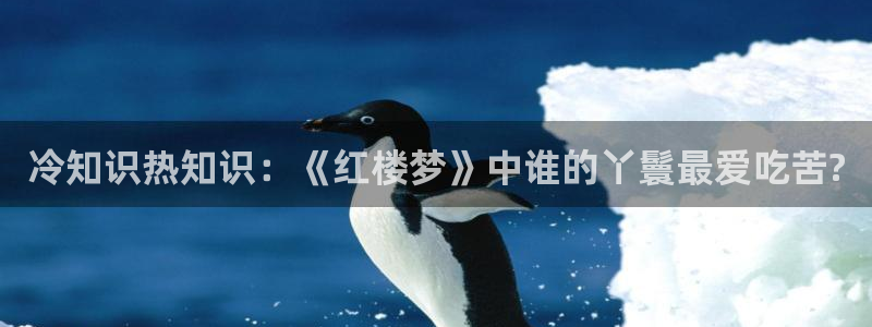 txt免费全本小说奇书网