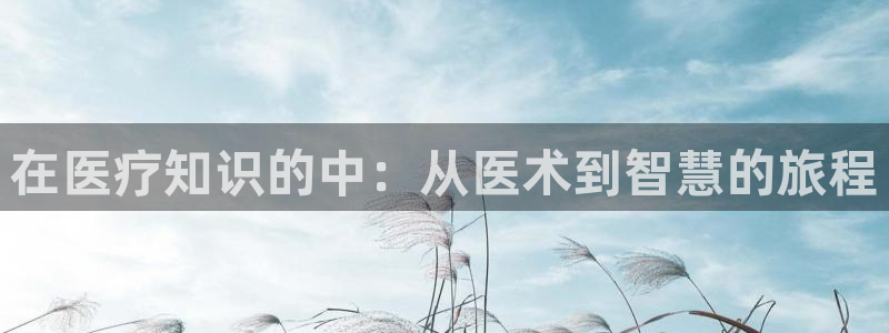 全本小说网网站